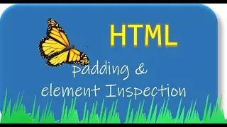 HTML - padding & element inspection