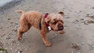 Tuckers Day Out