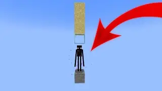I didn't expect this from an enderman! | Minecraft