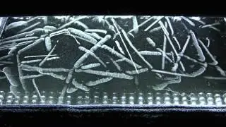 Thoron (Rn220) in the cloud chamber [1080p]