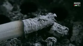 Tips para dejar de fumar | El Tabaquismo te afecta más de lo que crees