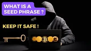 Why Do Crypto Wallets Use 12 or 24 Words ? The Truth Revealed!