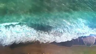 서면초 불주먹