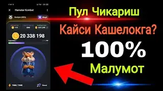 BingX. Кашелоги Тугрисида Тулик Малумот / Hamster Kombat Pul Ishlash (Sarmoyasiz)
