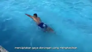 Renang Gaya Bebas