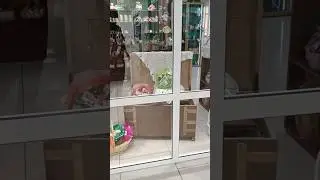 Тот самый сундук