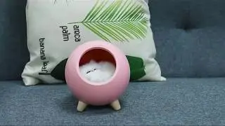 Коты - светодиодные светильники в подарок!