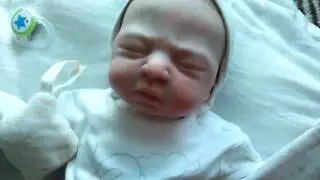 Утро с реборном