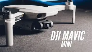 ¿Vale la pena un Drone tan pequeño? | DJI Mavic Mini Review