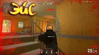 SURVARIUM Первый раунд #2