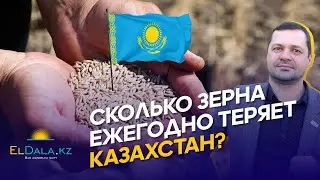 Некачественные семена, недостаток удобрений, старая техника и слабое кредитование АПК Казахстана