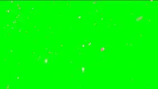 green screen Cherry Blossom effects part 2 no Copyright