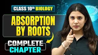 ABSORPTION BY ROOTS Complete Chapter Covered | ICSE Class 10 Biology