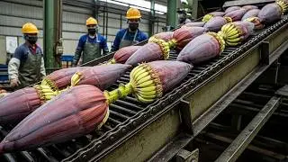 Inside a Recycling & Manufacturing Factory