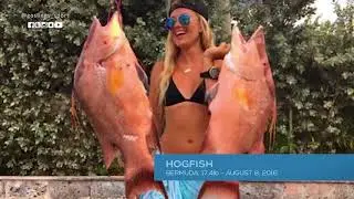 Goslings Sport: Taylor Barit Extended Trailer