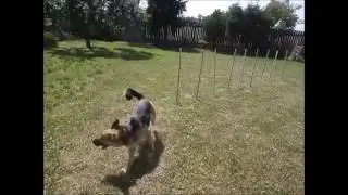Trénink slalomu doma :)