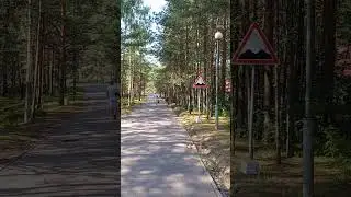 Прекрасный день!