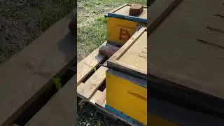Разделительные решетки на крупной пасеке
