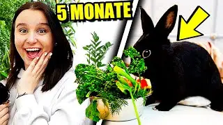Mein neues Haustier ! 😳 (Schwester weiss nichts davon) - Celina