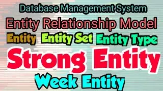 Entity | Entity type| Entity Set | XII STD CA |Chapter 3| Introduction to Database Management System