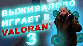Выживалово зашел в Valorant 3 #выживалово