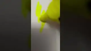 что я нарисовала?