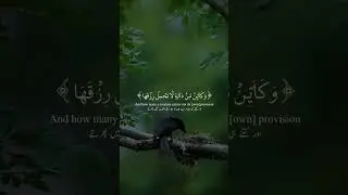 #quranrecitation #bestqurantilawat #viralvideo #islam #hearttouching #viralshorts #subscribe
