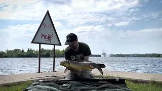 Carp Fishing Little Lake Peterborough Ontario