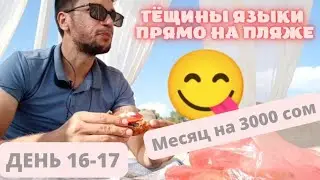 Месяц на 3000 сом. ДЕНЬ 16-17. Чем меня накормили друзья?