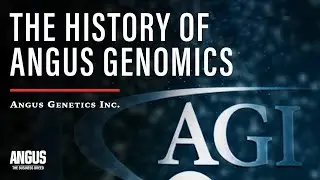 The History of Angus Genomics | ANGUS GENETICS INCORPORATED (AGI) - Featuring Kelli Retallick-Riley