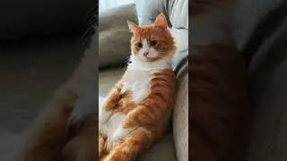 Не трать время- звони организатору!
