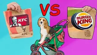 BURGER KING vs KFC. Щенок НЕ ЗНАЕТ, что ВЫБРАТЬ.