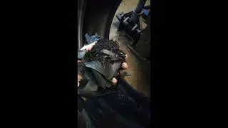 Drove on an empty tire | flat tire 