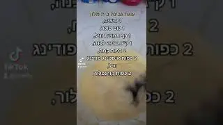 עוגת גבינה בית מלון