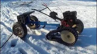 ГУСЕНИЦЫ Утренняя прогулочка