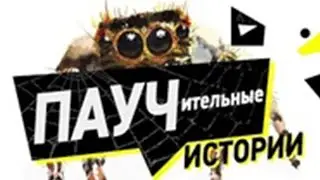 Важно! Хайлайты теперь смотрите на Паучительных историях