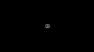 slon.mp4