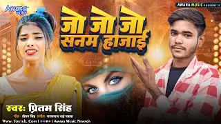 Jo Jo Jo Sanam Harjai Ge ! Pritam Singh का मगही तहलका गाना | Magahi #Sad Song 2025