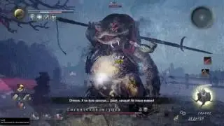 Nioh. Билд танк. Босс Жаба