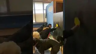 Собаки наши всегда готовы оказать всестороннюю помощь и поддержку.