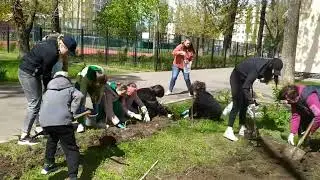 Акція "Зелене місто"