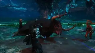 Полуночная роща (где добыть тенецвет) в Conan Exiles (Age of War)