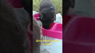 27 дней детям!
