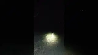 scottys sauna 24923