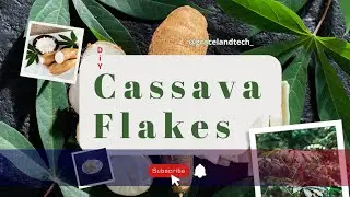 Cassava Flakes 🌱