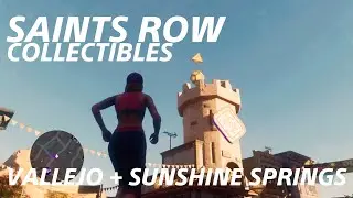 Vallejo + Sunshine Springs Collectibles - Saints Row