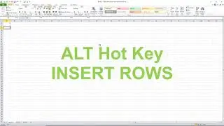 Excel Tips: ALT Hot Key - Insert Rows