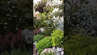 #сад