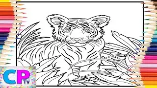Tiger Hidden in the Bushes/Young Tiger Coloring Pages/Wild Animals/Jim Yosef - Lights [NCS Release]