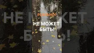 🍁Я МНОГО НЕ ЗНАЛА‼️ #натальяшарова #сибирскоездоровье #полезныесоветы #интересно